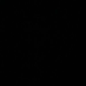 Meet your Posher, Satrenis